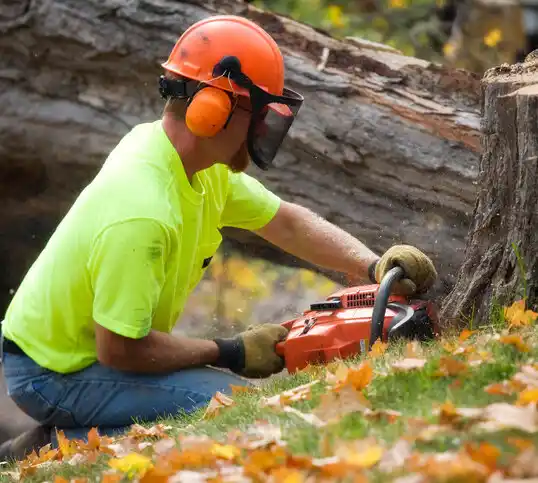 tree services Destrehan